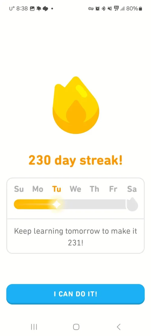 Daily Streak Bar